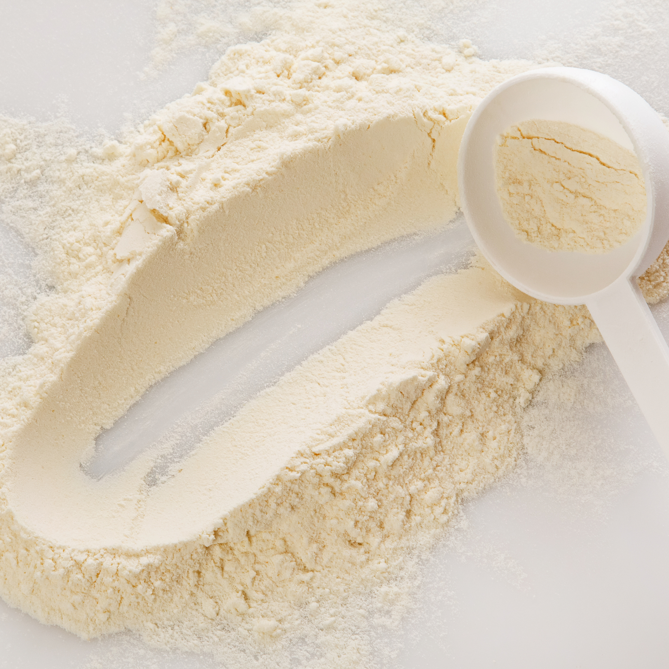 BONLAIT Instant Whole Milk Powder / 25kg
