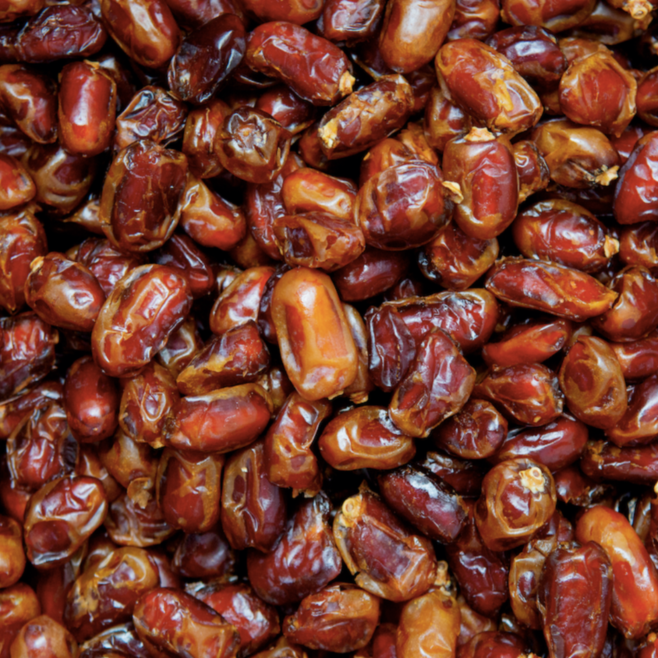 Kholas Dates – Whole / 5 Kg