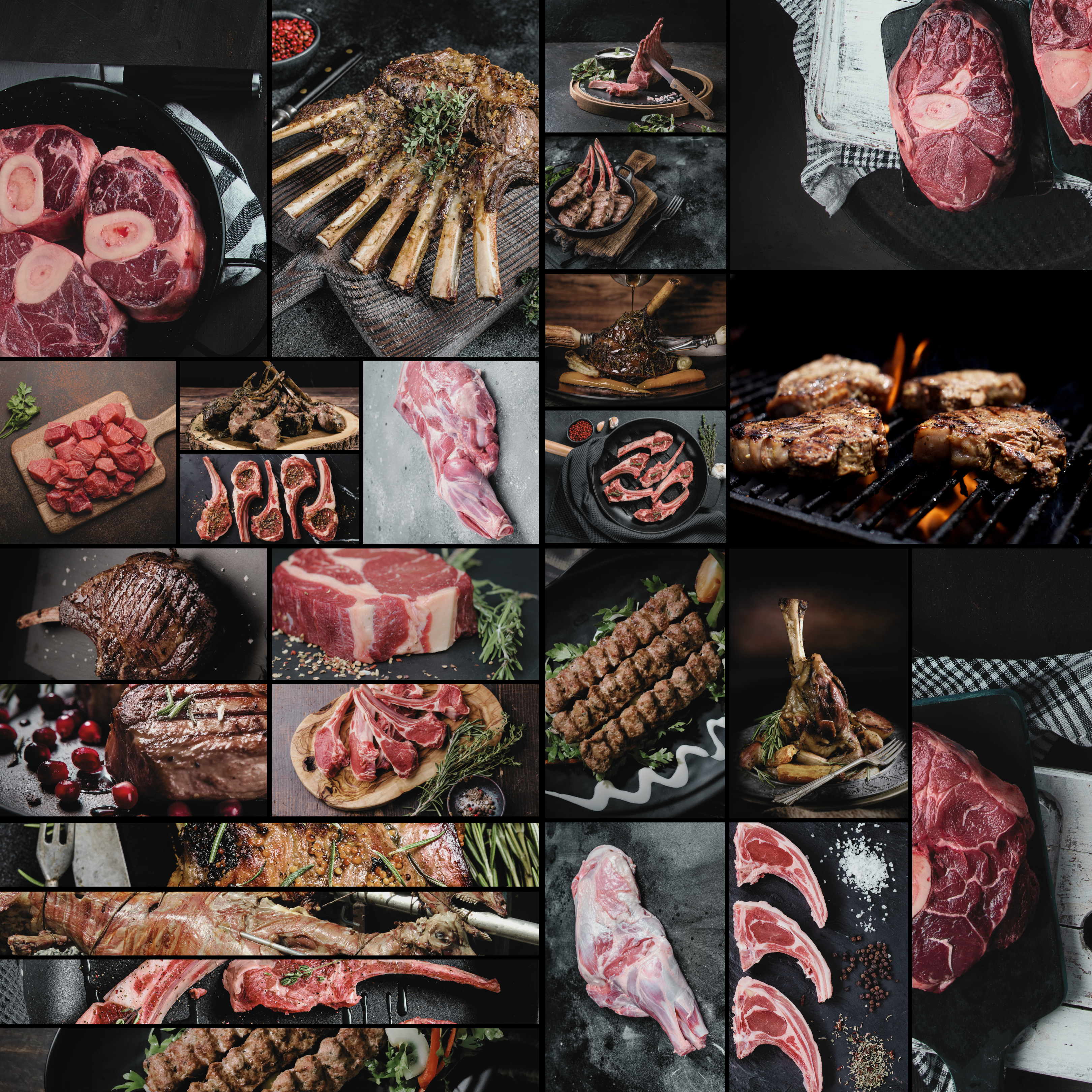 Ovejo Oleva Sheep Meat Portfolios