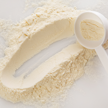 BONLAIT Instant Whole Milk Powder / 25kg